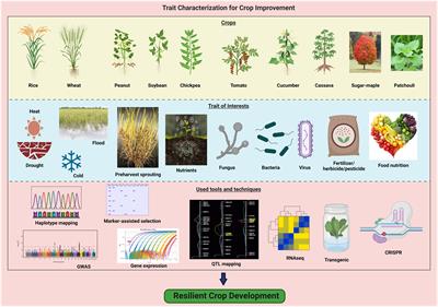 Editorial: Characterizing and improving traits for resilient crop development